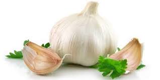 Aglio in Polvere