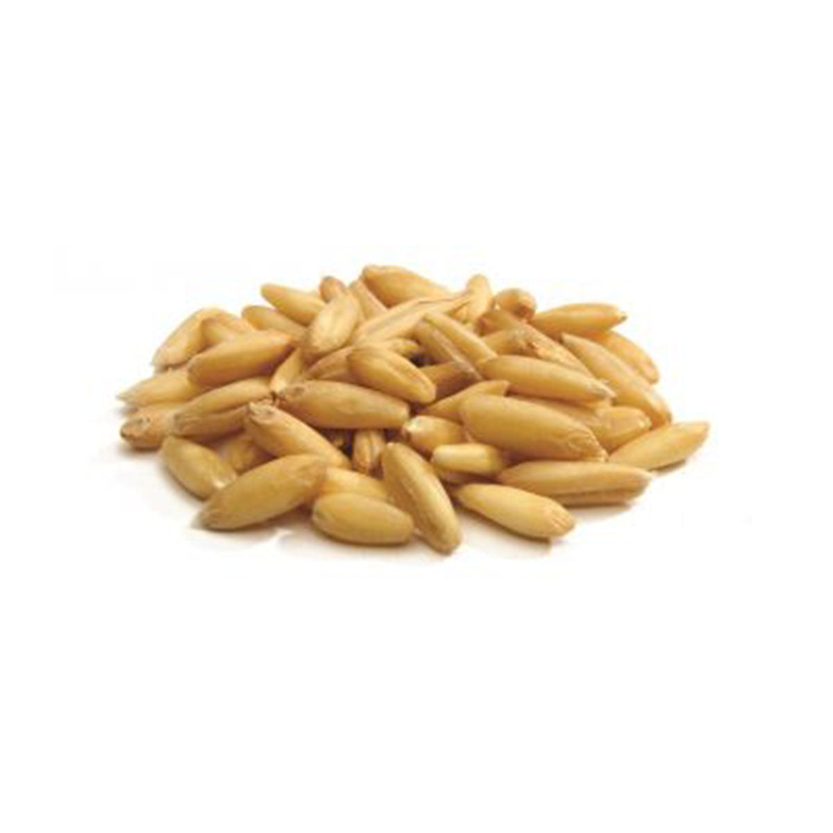 Avena Decorticata