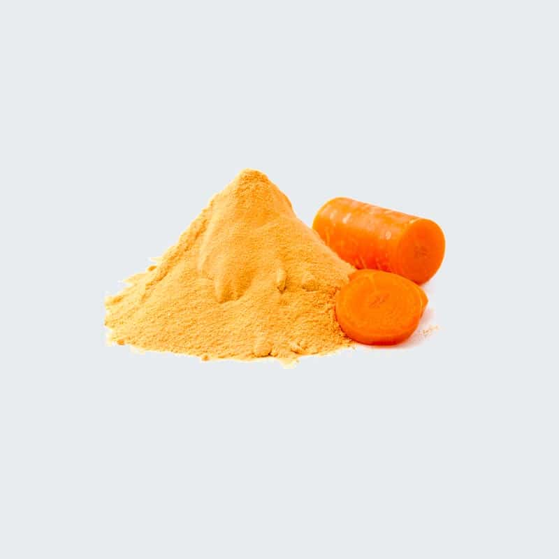 Carota in Polvere