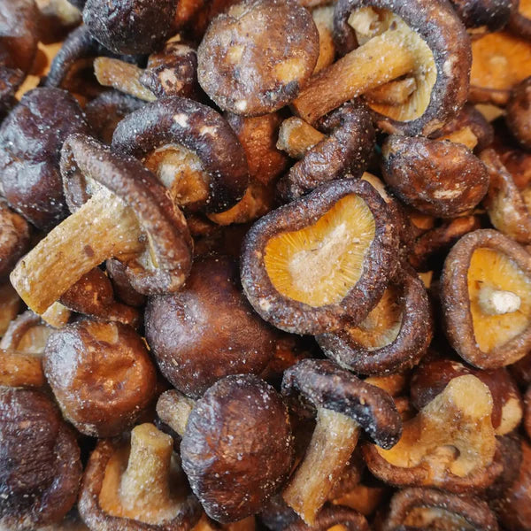 Funghi Shitake Chips