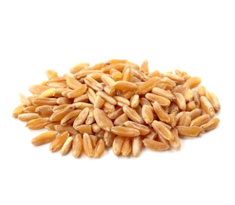 Grano Duro Decorticato