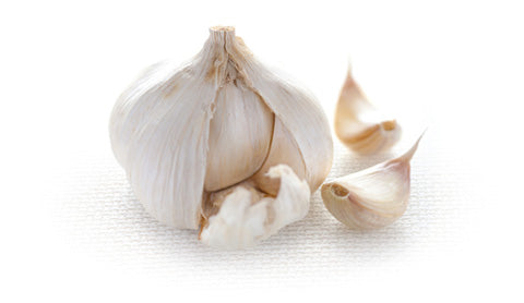 Aglio in Polvere