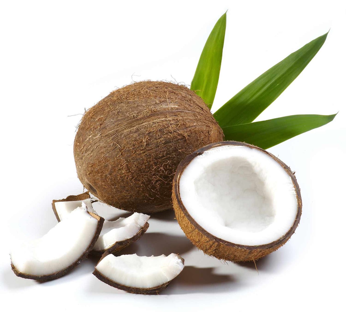 Farina di Cocco