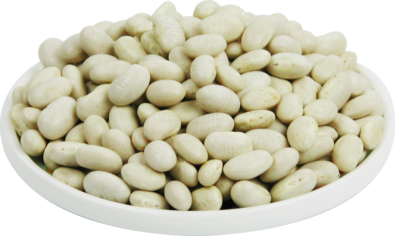 Fagioli Bianchi di Spagna