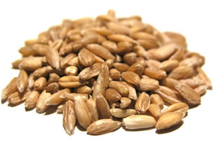 Farro Perlato