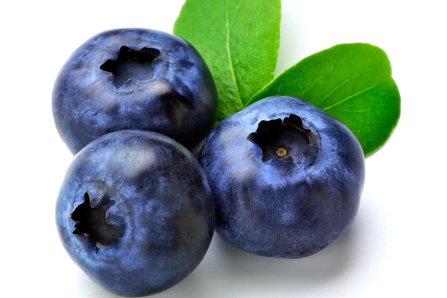 Mirtilli Neri BlueBerries Disidratati