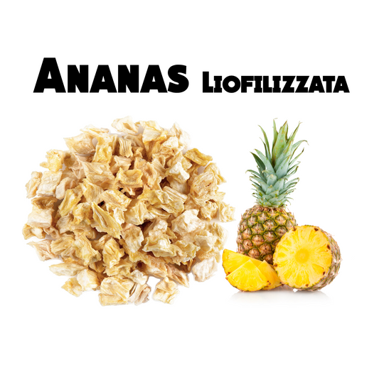 Ananas Liofilizzata