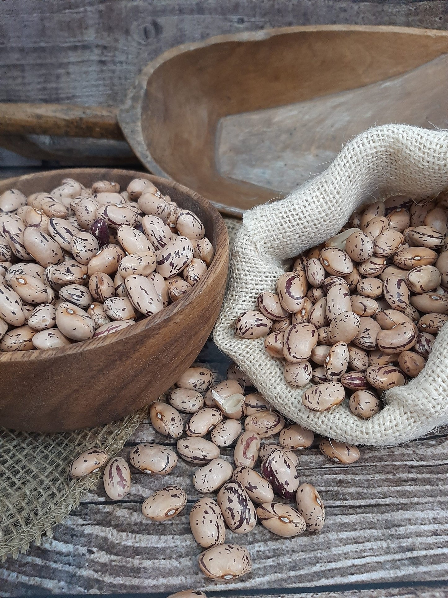 Fagioli Borlotti di Lamon