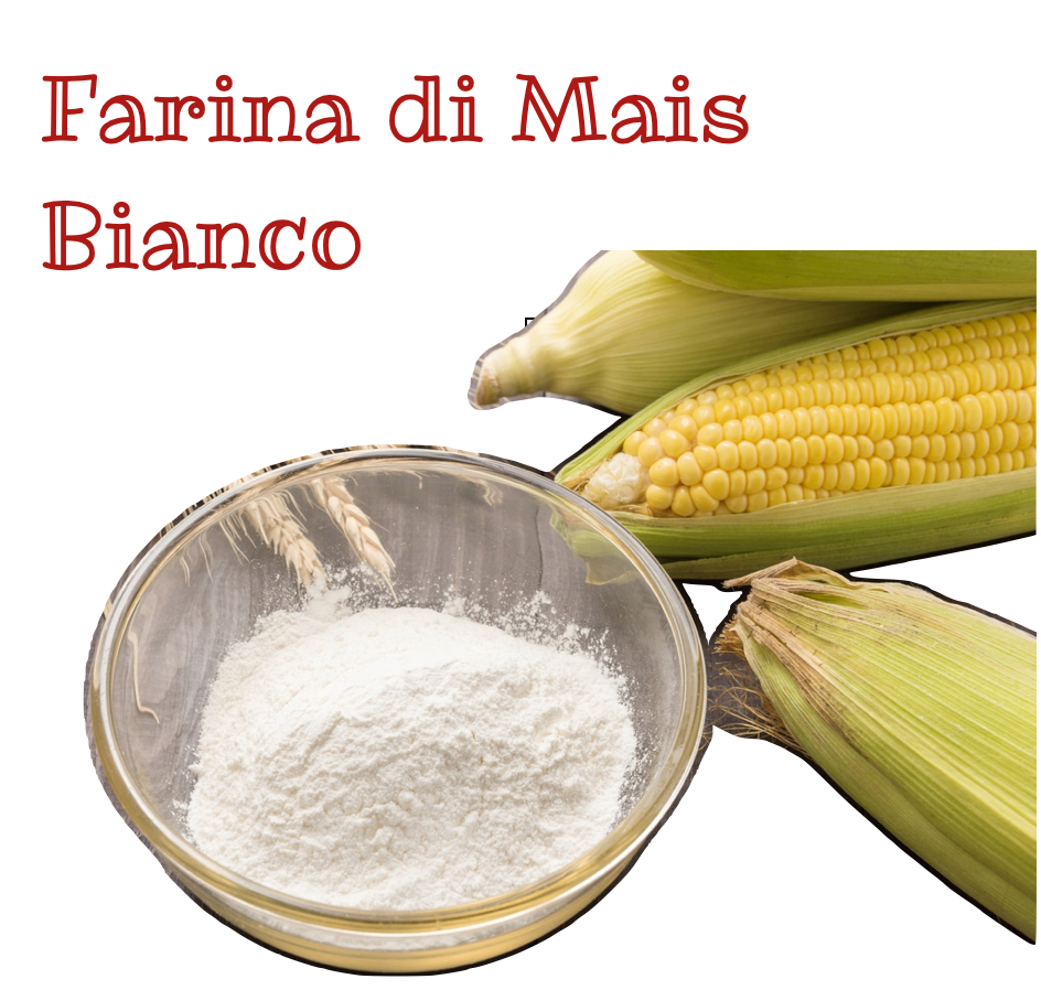 Farina di Mais Bianco