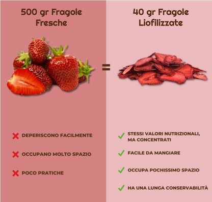 Fragole Chips Liofilizzate