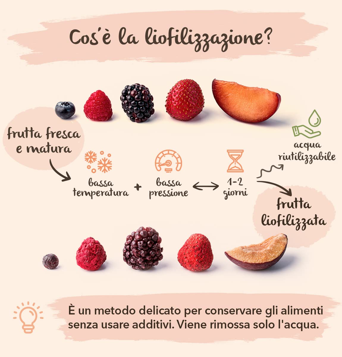 Dragon Fruit Liofilizzato