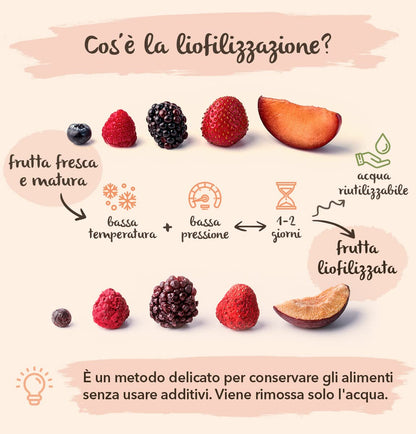 Dragon Fruit Liofilizzato