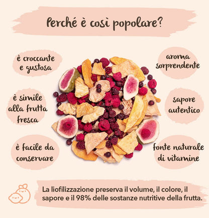 Mango Liofilizzato