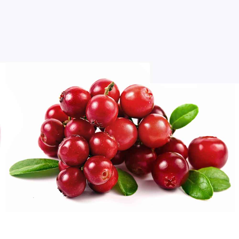 Mirtilli Rossi Cranberries Disidratati