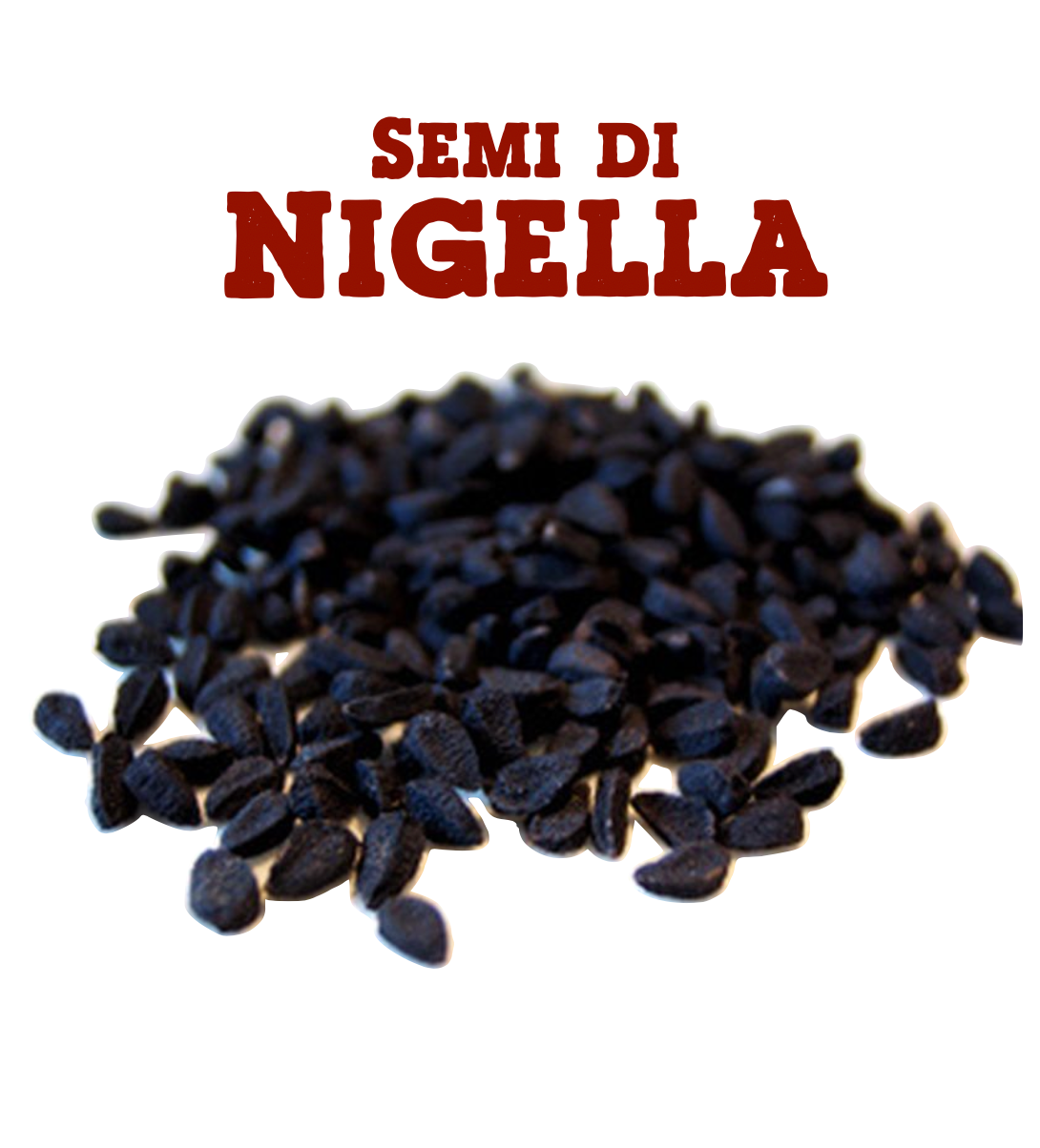 Semi di Nigella Sativa (Cumino Nero, Sesamo Nero)