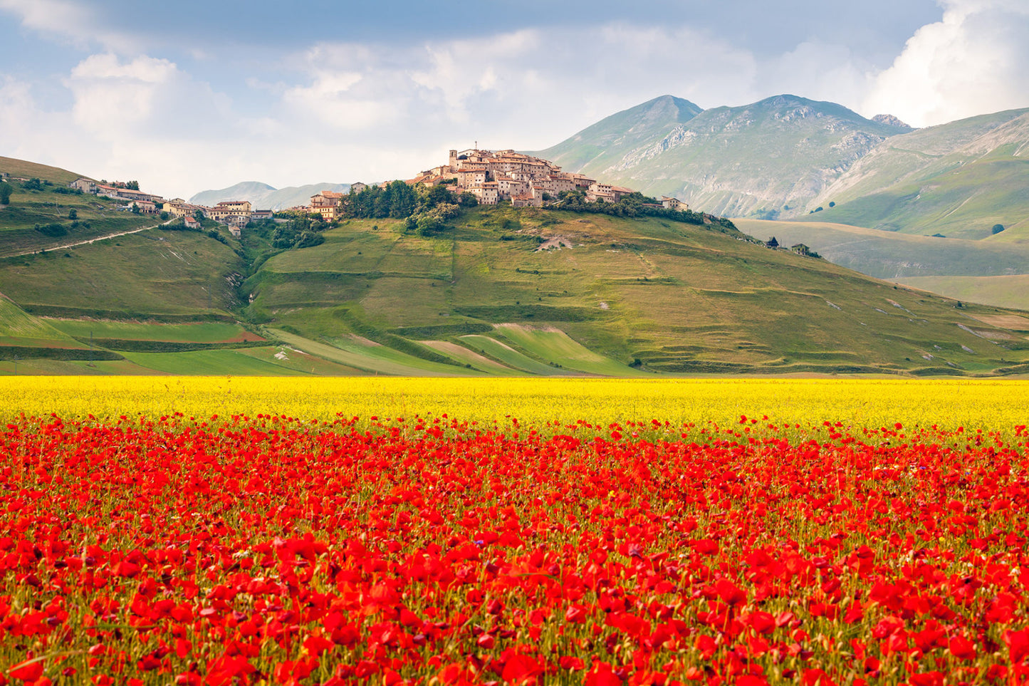 Lenticchia di Castelluccio di Norcia IGP